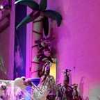 Entertainment 27.jpg