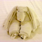 Towel 1.jpg