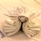 Towel 5.jpg